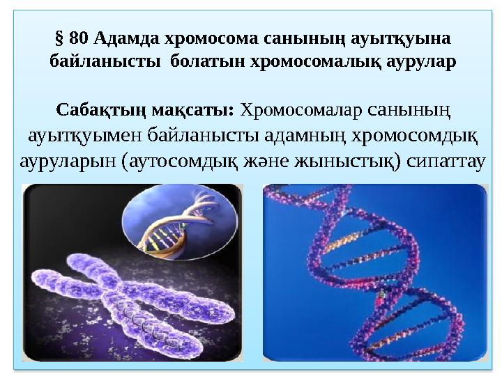 § 80 Адамда хромосома санының ауытқуына байланысты болатын хромосомалық аурулар Сабақтың мақсаты: Хромосомалар саны