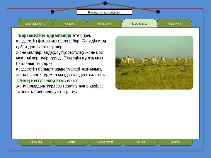 Ақсу-Жабағылы LOREM IPSUMАлматы Наурызым Барсакелмес қорығында өте сирек кездесетін флора мен фауна бар. Өсімдіктерді ң 256