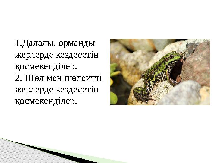 1.Далалы, орманды жерлерде кездесетін қосмекенділер. 2. Шөл мен шөлейтті жерлерде кездесетін қосмекенділер.