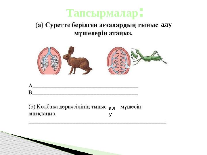 алуТапсырмалар : ал у