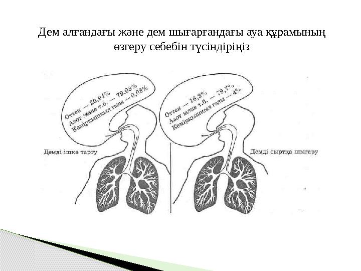 Дем алғандағы және дем шығарғандағы ауа құрамының өзгеру себебін түсіндіріңіз