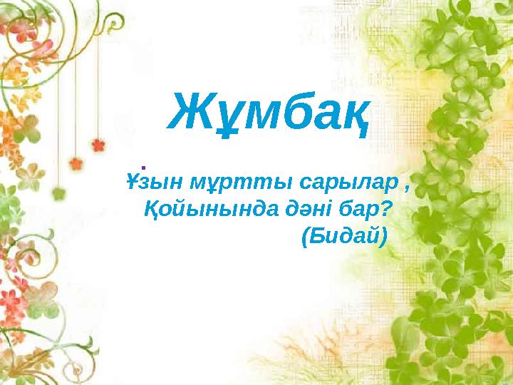 . Жұмбақ Ұзын мұртты сарылар , Қойынында дәні бар? (Бидай)