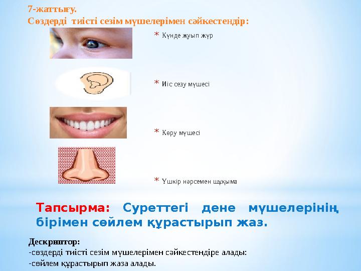 * Күнде жуып жүр * Иіс сезу мүшесі * Көру мүшесі * Үшкір нәрсемен шұқыма Тапсырма: Суреттегі дене мүшелерінің бірімен сөйлем