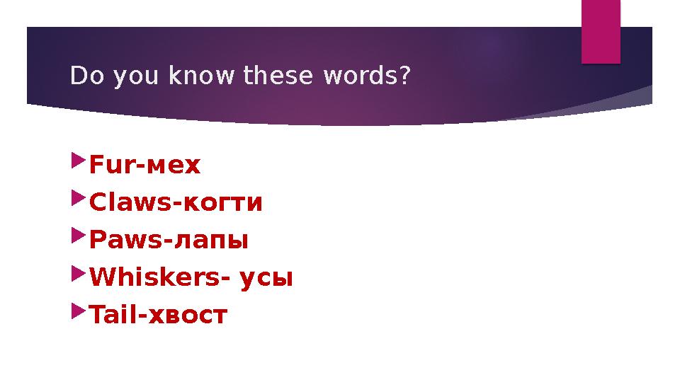 Do you know these words?  Fur- мех  Claws- когти  Paws- лапы  Whiskers- усы  Tail- хвост