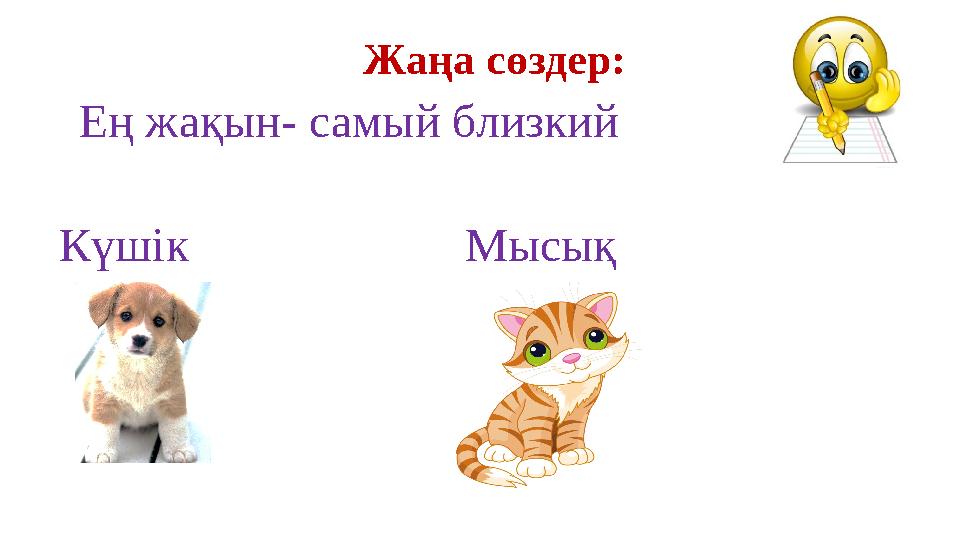 Жа ңа сөздер: Ең жақын- самый близкий Күшік Мысық
