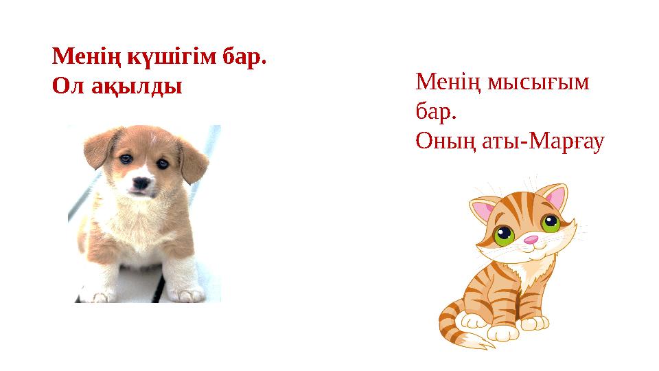 Менің күшігім бар. Ол ақылды Менің мысығым бар. Оның аты -Марғау