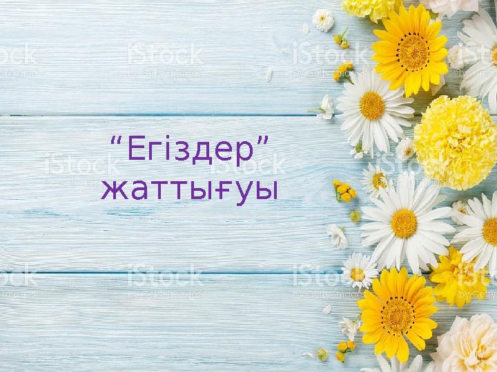Кончают в жопу және личать