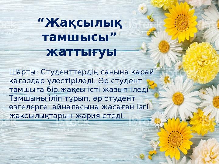 Шұлықтар ит стиліндегі фотогалереялар