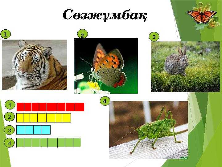 Сөзжұмбақ 1 2 3 4 1 2 3 4