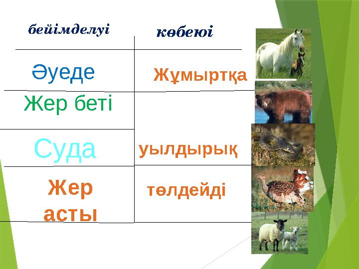 бейімделуі Әуеде Жер беті Суда Жер асты Жұмыртқа уылдырық төлдейді көбеюі