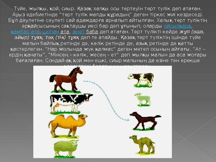 Түйе, жылқы, қой, сиыр. Қазақ халқы осы төртеуін төрт түлік деп атаған. Ауыз әдебиетінде “төрт түлік малды құрадың” деген тірке