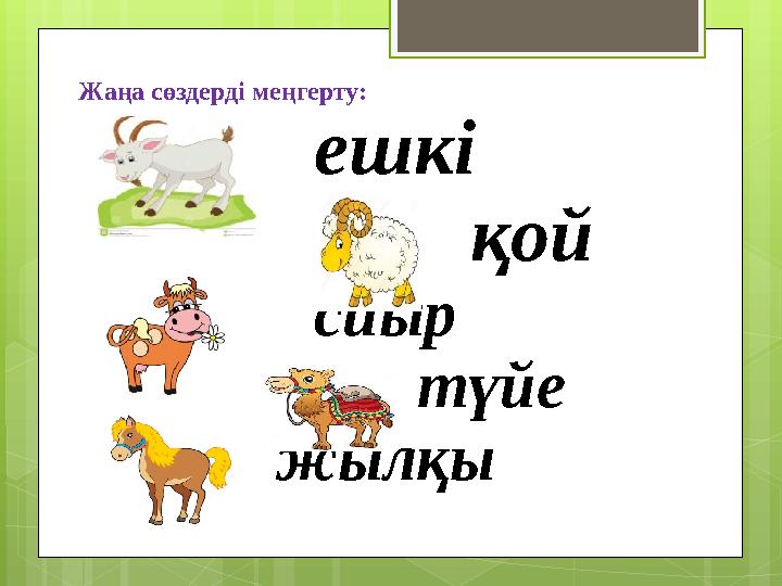Жаңа сөздерді меңгерту: ешкі қой сиыр түйе жылқы