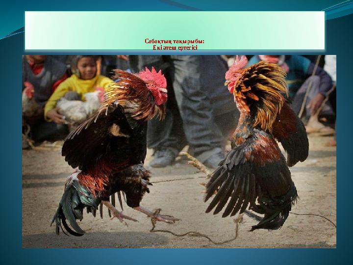 Грузин гей порно