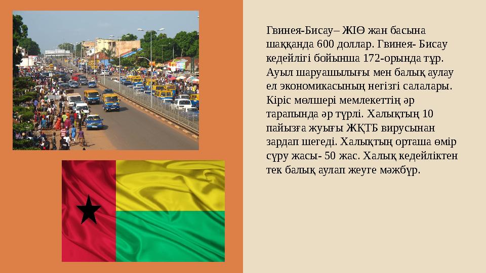 Гвинея-Бисау– ЖІӨ жан басына шаққанда 600 доллар. Гвинея- Бисау кедейлігі бойынша 172-орында тұр. Ауыл шаруашылығы мен балық