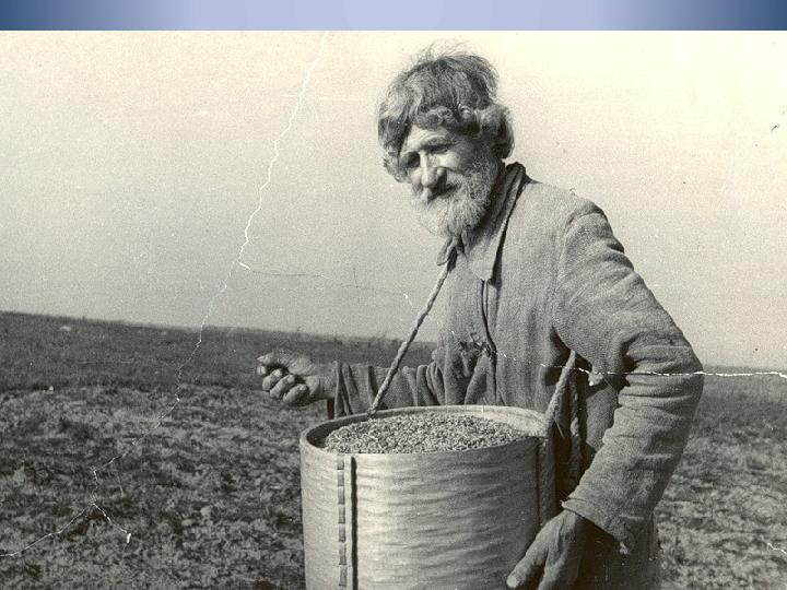 Раньше посев семян