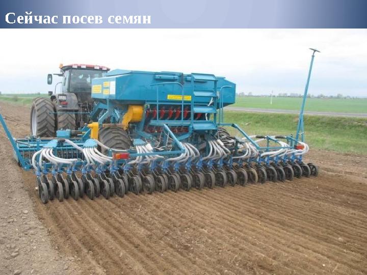 Сейчас посев семян