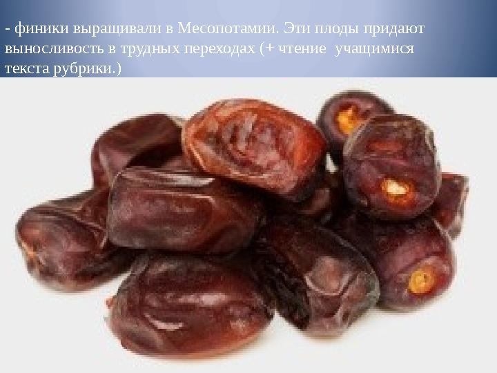 - финики выращивали в Месопо тамии. Эти плоды придают выносливость в трудных переходах (+ чтение учащимися текста рубрики.)