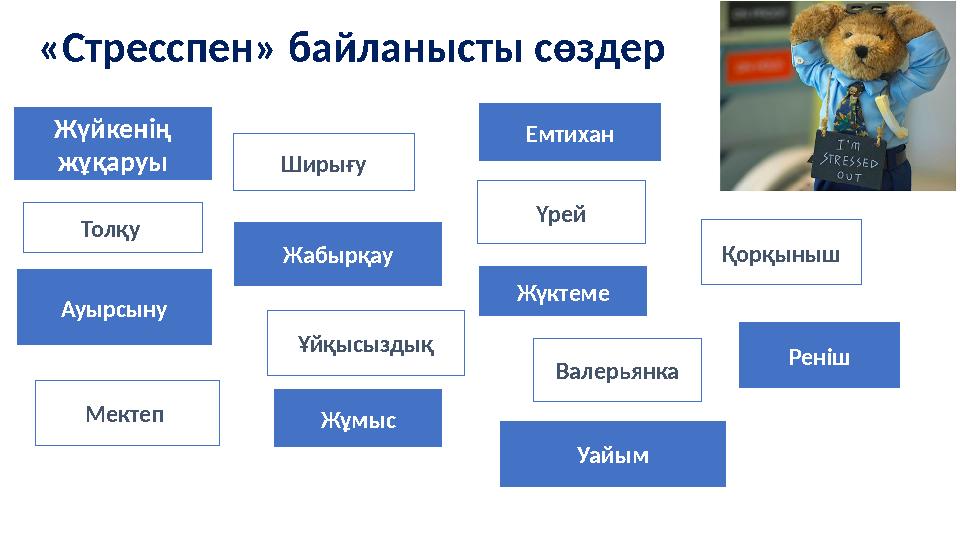 «Стресспен» байланысты сөздер Жүйкенің жұқаруы Ширығу Емтихан Үрей Толқу Жабырқау Қорқыныш Ауырсыну Ұйқысыздық Жүктеме Мектеп