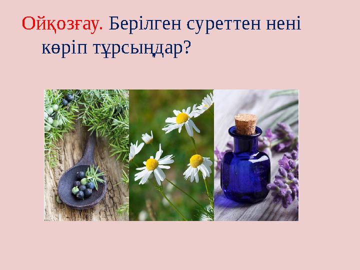 Ойқозғау. Берілген суреттен нені көріп тұрсыңдар?