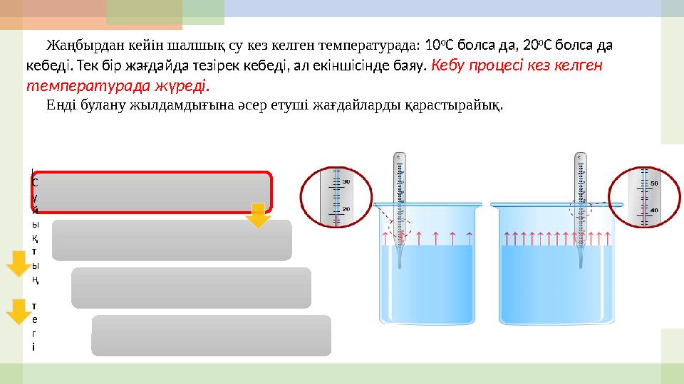 Майлау заты куннилингустан ағады