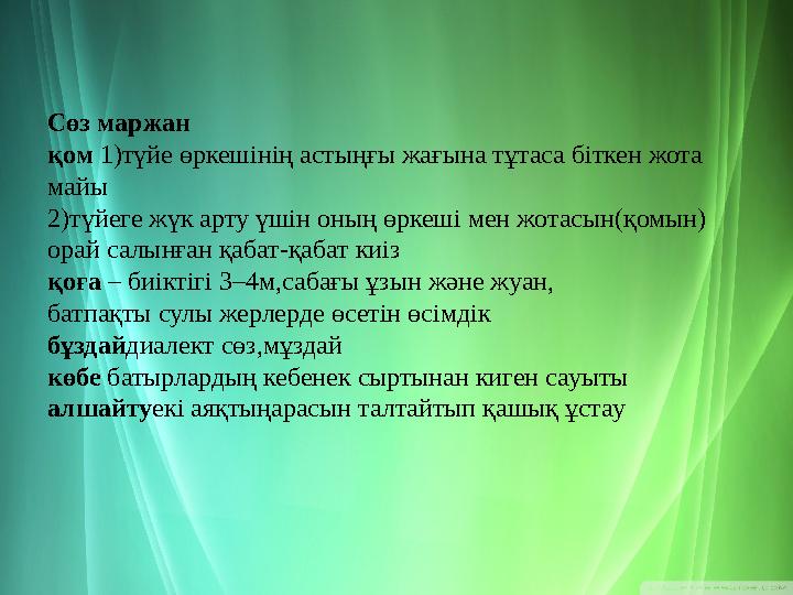 Сөз маржан қом 1) түйе өркешінің астыңғы жағына тұтаса біткен жота майы 2) түйеге жүк арту үшін оның өркеші мен жотасын(қомы