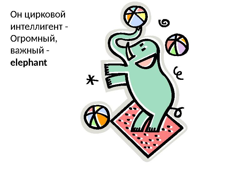 Он цирковой интеллигент - Огромный, важный - elephant