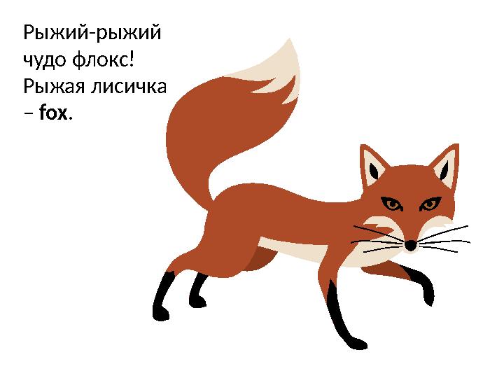 Рыжий-рыжий чудо флокс! Рыжая лисичка – fox .