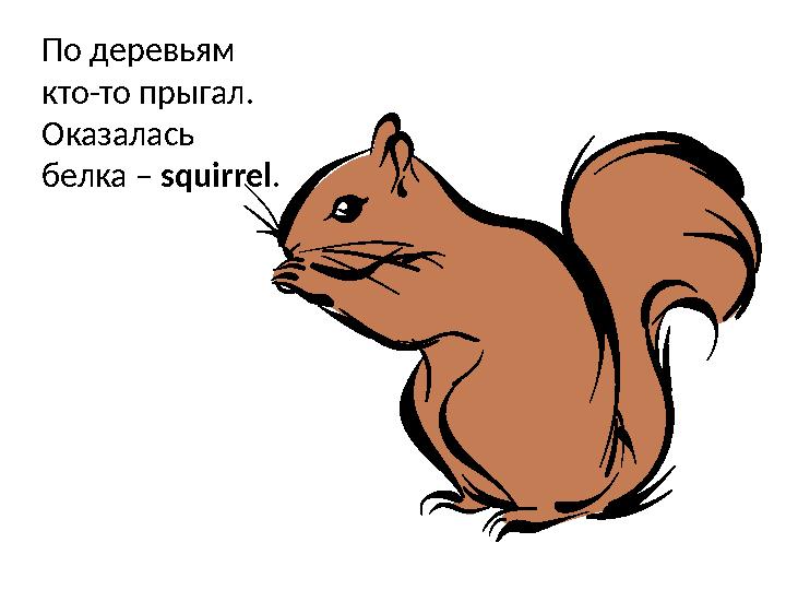 По деревьям кто-то прыгал. Оказалась белка – squirrel .