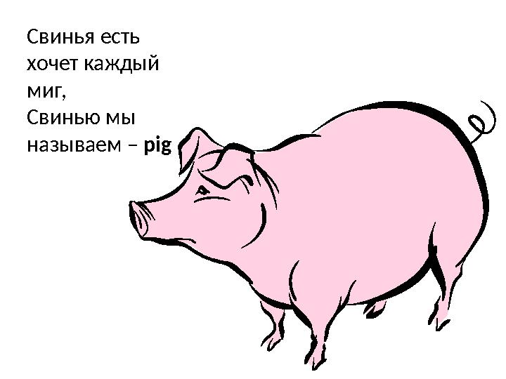 Свинья есть хочет каждый миг, Свинью мы называем – pig