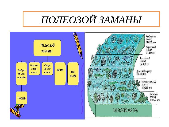 ПОЛЕОЗОЙ ЗАМАНЫ