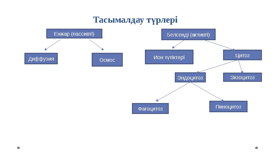 Тасымалдау түрлері Енжар (пассивті) Белсенді (активті) Диффузия Осмос Ион түтіктері Цитоз Эндоцитоз Экзоцитоз Фагоцитоз Пиноцито
