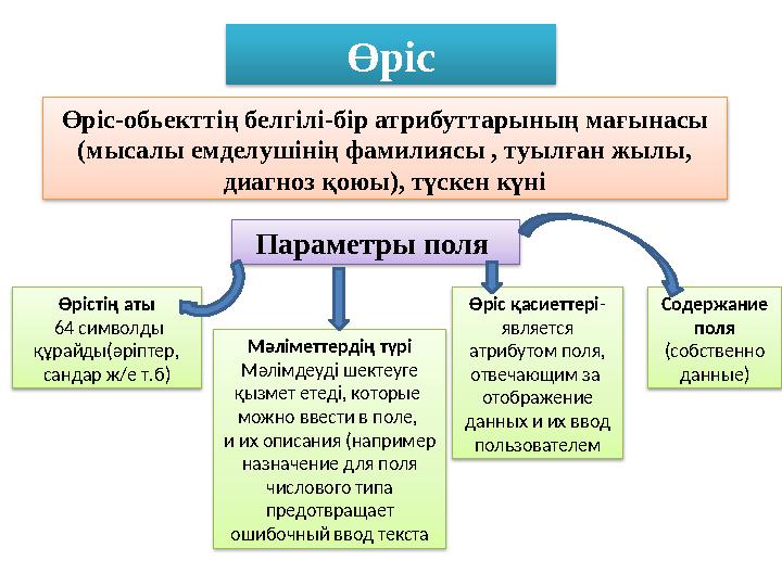 Өріс Өріс-обьекттің белгілі - бір атрибуттарының мағынасы (мысалы емделушінің фамилиясы , туылған жылы, диагноз қоюы), түскен