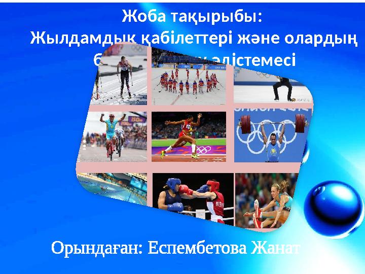 Шешен әйелдері секс сайтында сөйлеседі