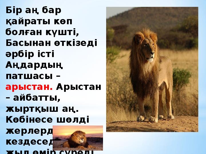 Бір аң бар қайраты көп болған күшті, Басынан өткізеді әрбір істі Аңдардың патшасы – арыстан. Арыстан – айбатты, жыртқы