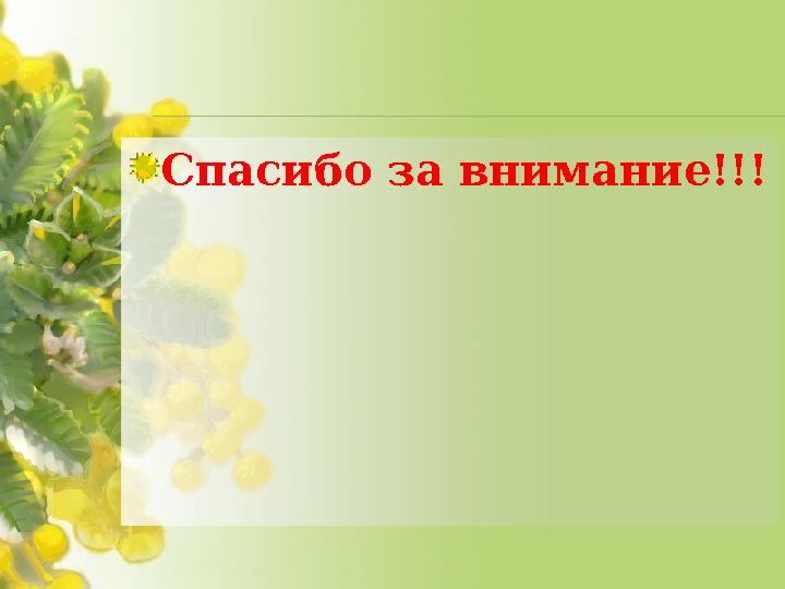 Спасибо за внимание!!!