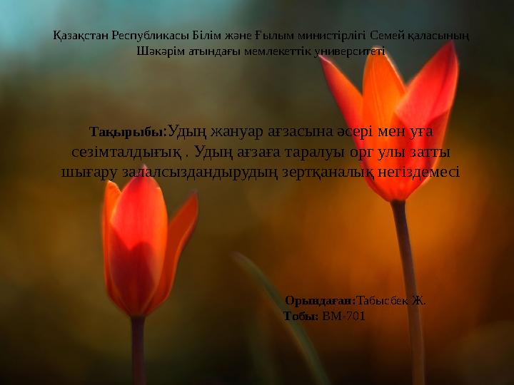 Азиялық порно мастурбация жасайды