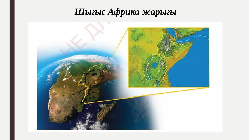 Шығыс Африка жарығы