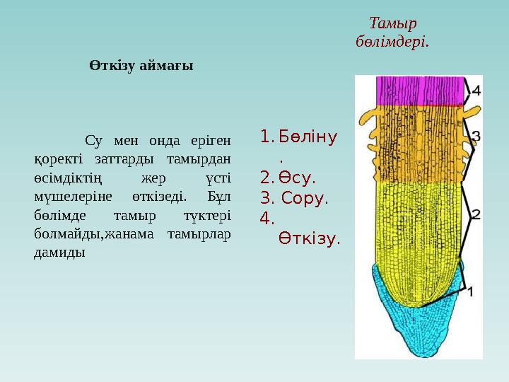 Төтенше порно секс