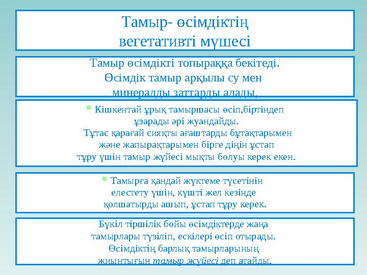 Ол тамыр соғуы жоғалғанша мен оның мысығын жаладым.