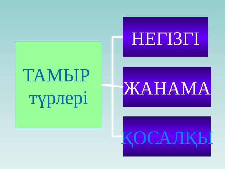 ТАМЫР түрлері НЕГІЗГІ ЖАНАМА ҚОСАЛҚЫ