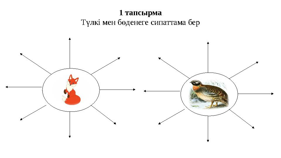 1 тапсырма Түлкі мен бөденеге сипаттама бер