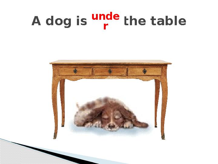 A dog is the tableunde r