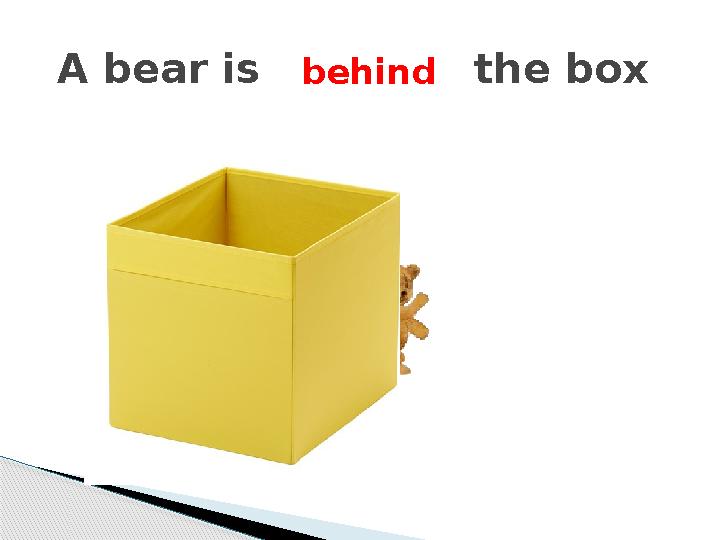 A bear is the box behind