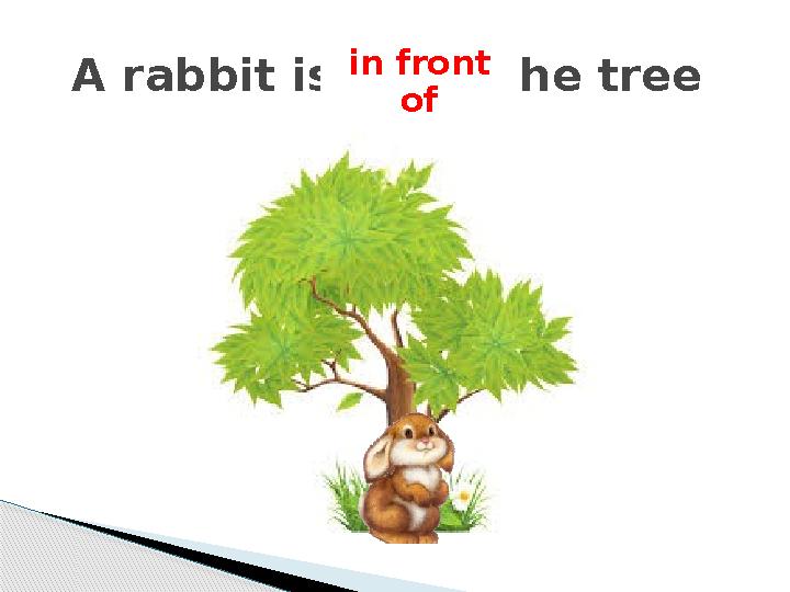 A rabbit is the tree in front of