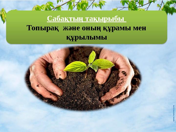 Ет түсті шұлықтардағы балапанмен жыныстық қатынас