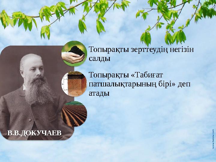 В.В.ДОКУЧАЕВ Топырақты зерттеудің негізін салды Топырақты «Табиғат патшалықтарының бірі» деп атады