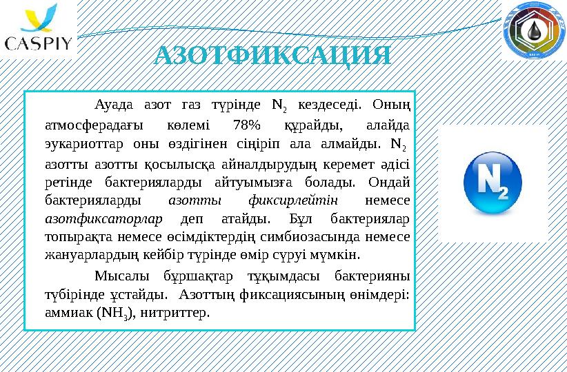 АЗОТФИКСАЦИЯ Ауада азот газ түрінде N 2 кездеседі. Оның атмосферадағы көлемі 78% құрайды, алайда эукариоттар оны