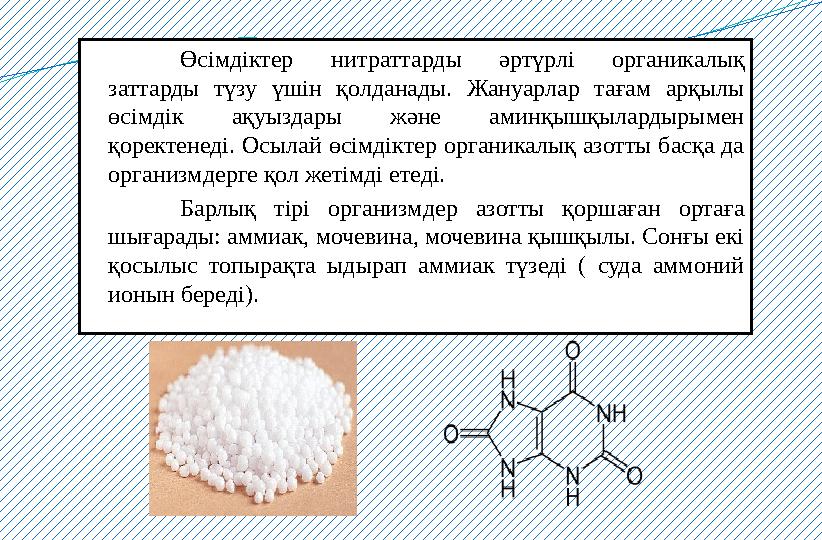Өсімдіктер нитраттарды әртүрлі органикалық заттарды түзу үшін қолданады. Жануарлар тағам арқылы өсімдік ақуыздары ж
