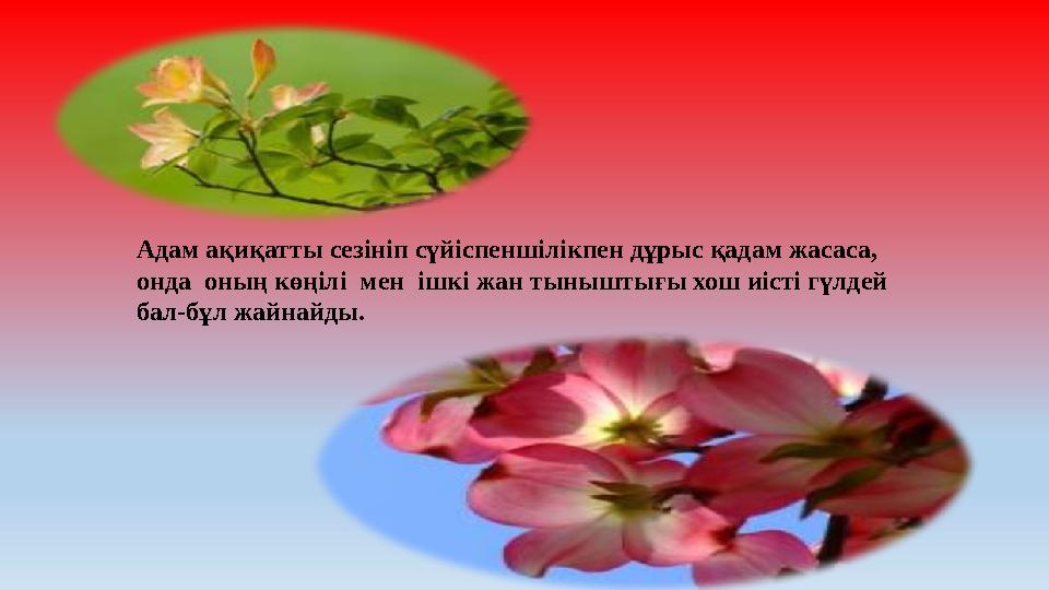 Адам ақиқатты сезініп сүйіспеншілікпен дұрыс қадам жасаса, онда оның көңілі мен ішкі жан тыныштығы хош иісті гүлдей бал-бұл