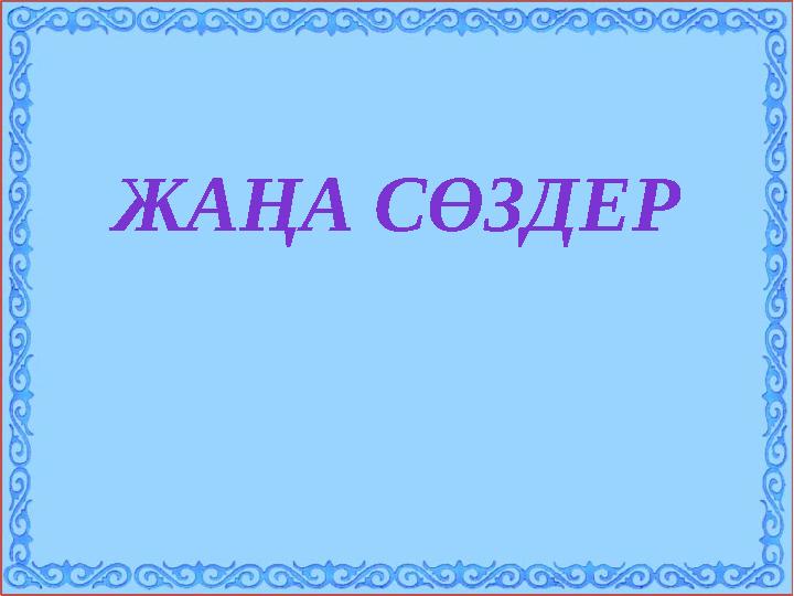 ЖАҢА СӨЗДЕР